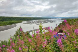 Alaska (39/65)